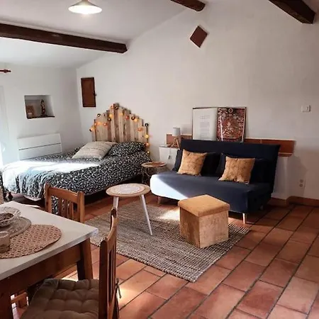 Maison Du Paradis Vakantiehuis Alès